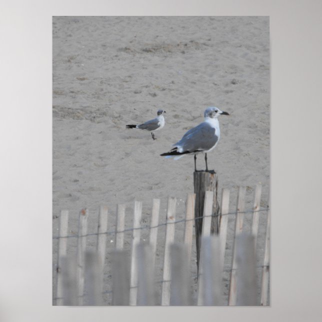 Affiches Plage ~ 25,5 (Devant)