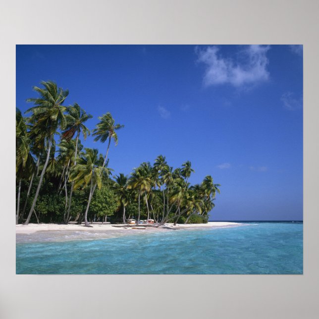 Affiches Plage avec palmiers, Maldives (Devant)