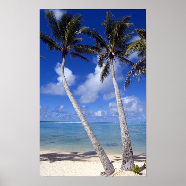 Affiches Plage bordée de palmiers Cook Islands (Devant)