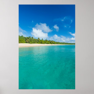 Affiches Plage bordée de palmiers, Tonga