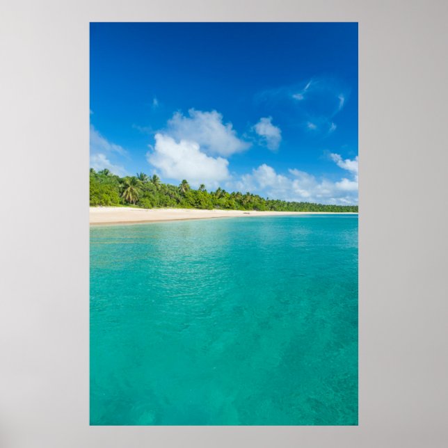 Affiches Plage bordée de palmiers, Tonga (Devant)