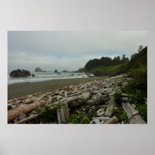 Affiches Plage cachée I du parc national de Redwood
