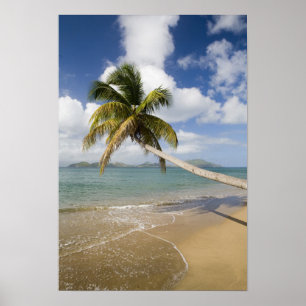 Affiches Plage de Coconut Grove à Cades Bay, avec St.