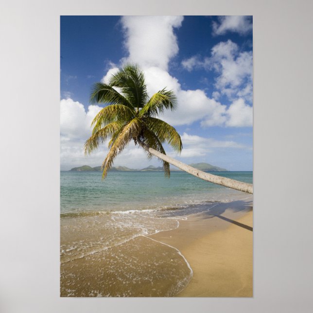 Affiches Plage de Coconut Grove à Cades Bay, avec St. (Devant)