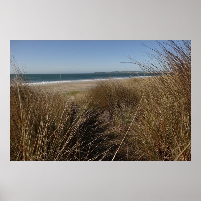Affiches Plage de Limantour à Point Reyes National Seashore (Devant)