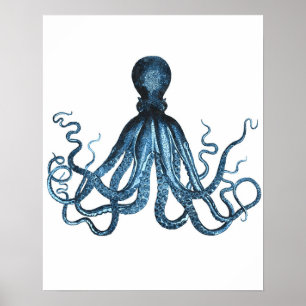 Affiches Plage océanique de la mer d'Octopus kraken mer côt