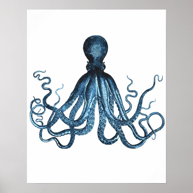 Affiches Plage océanique de la mer d'Octopus kraken mer côt (Devant)