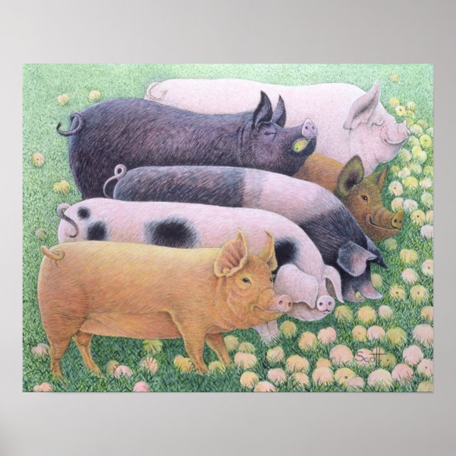 Affiches Plaisir pur (Devant)