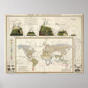 Affiches Plan de la géographie plante