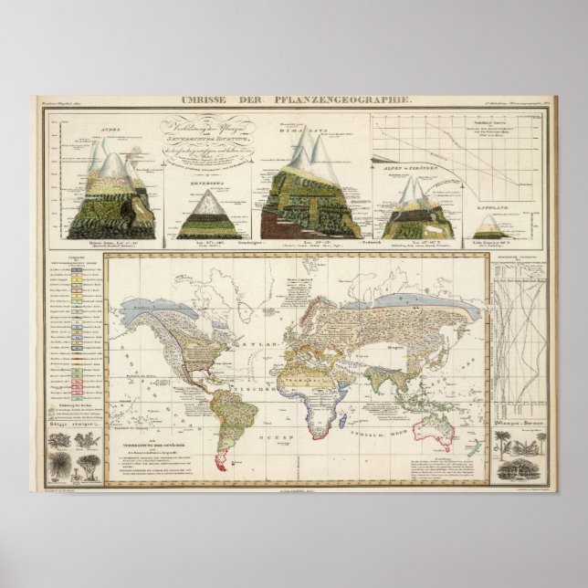 Affiches Plan de la géographie plante (Devant)