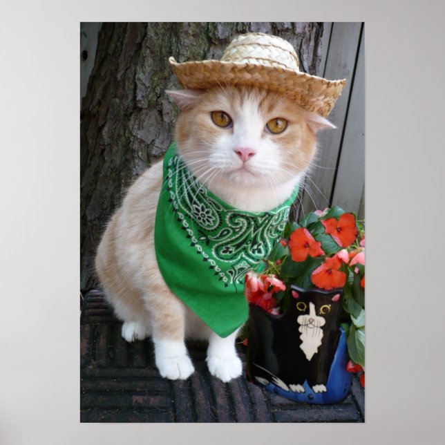 Affiches Plante (Devant)