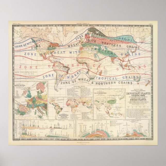 Affiches Plantes de distribution (Devant)