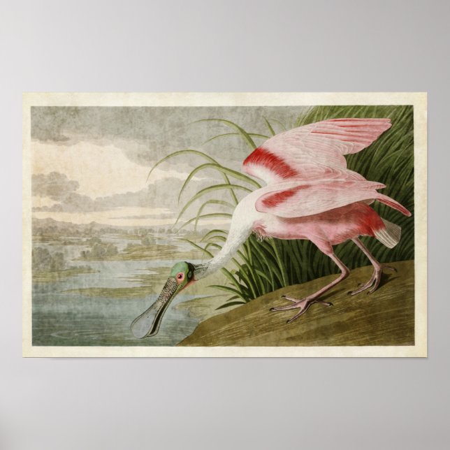 Affiches Plaque 321 | Billet à porte de rotation | Oiseaux  (Devant)
