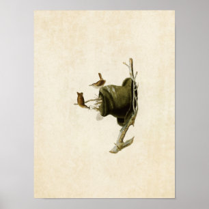 Affiches Plaque 83 Maison Wren Oiseaux d'Amérique