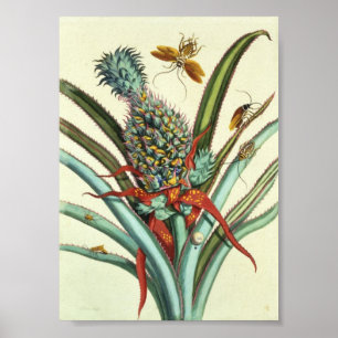 Affiches Plaque de génération d'insectes 1