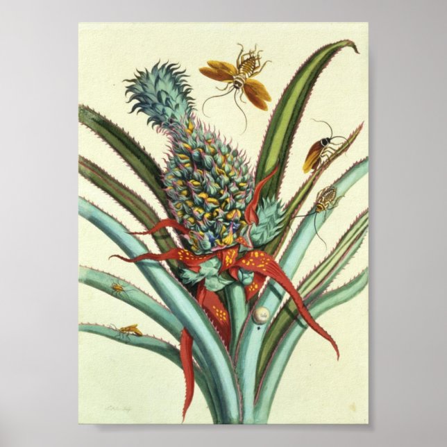 Affiches Plaque de génération d'insectes 1 (Devant)