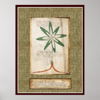 Affiches Plaque Voynich 13