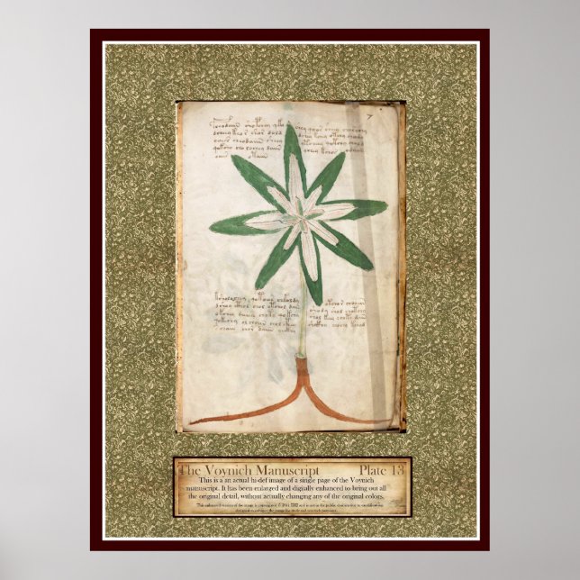 Affiches Plaque Voynich 13 (Devant)