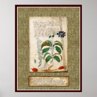 Affiches Plaque Voynich 19