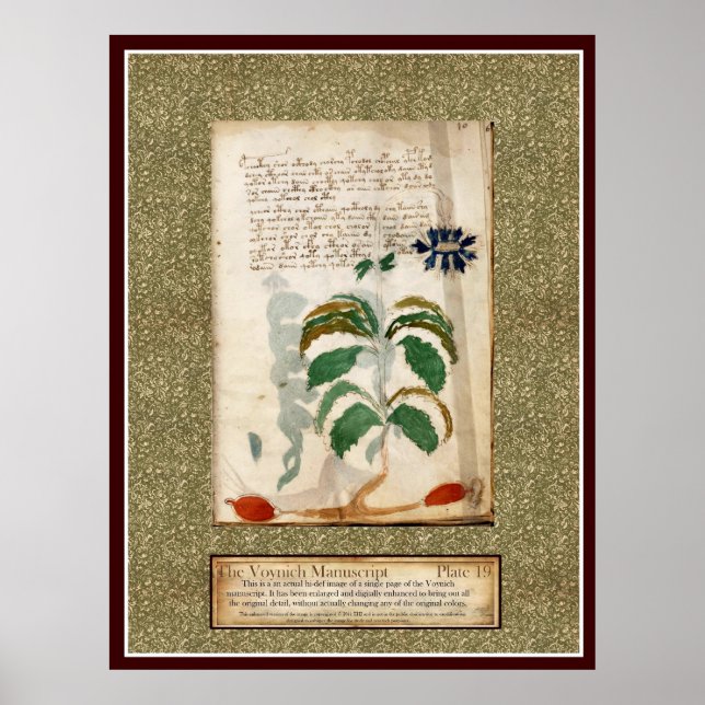 Affiches Plaque Voynich 19 (Devant)