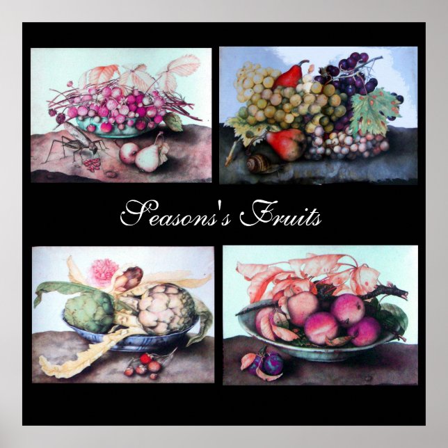 Affiches Plaques de fruits /Cerises, Pêches, Raisins, Artic (Devant)