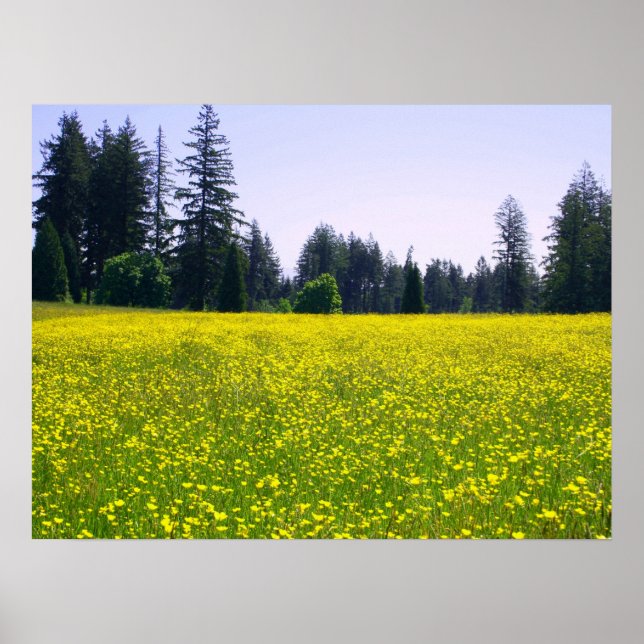 Affiches Pleine floraison (Devant)