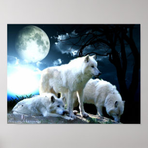 Affiches Pleine lune de loup grande