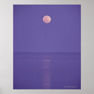 Affiches Pleine lune rose