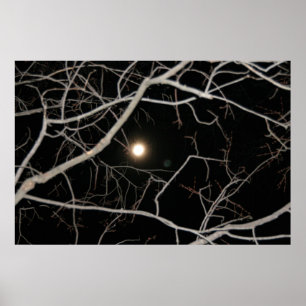 Affiches Pleine lune sur l'affiche Web