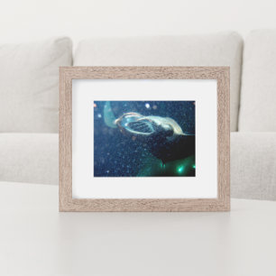 Affiches Plongez avec les Manta Rays - The Big Island