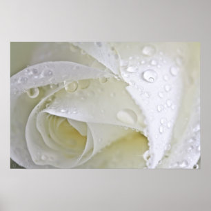 Affiches Pluie cristalline