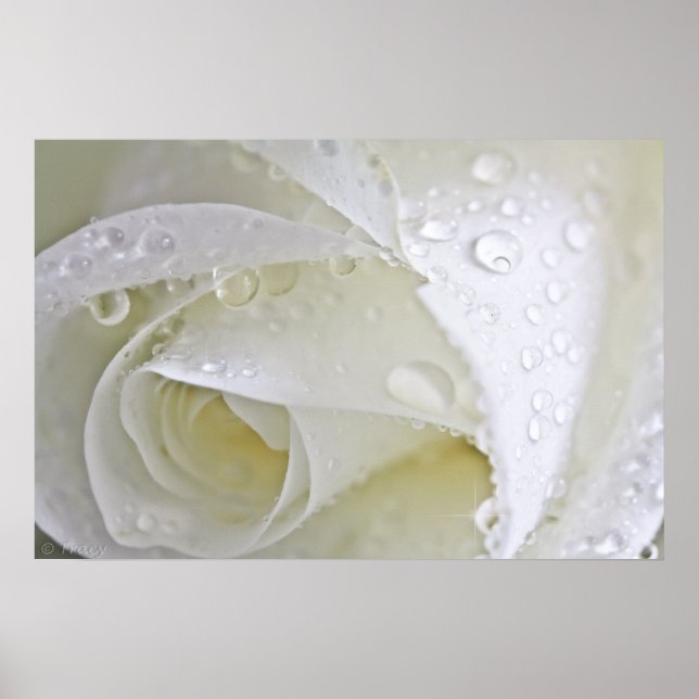 Affiches Pluie cristalline (Devant)