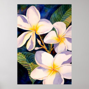 Affiches Plumerias embrasés