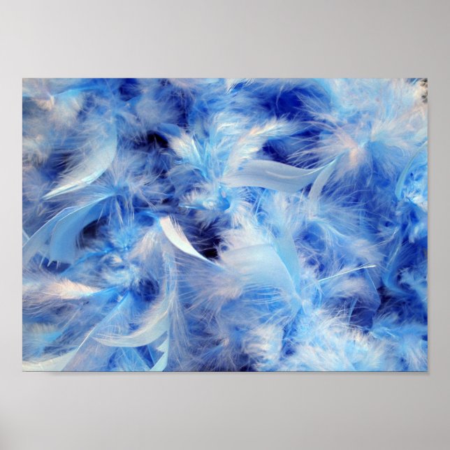 Affiches Plumes (Devant)