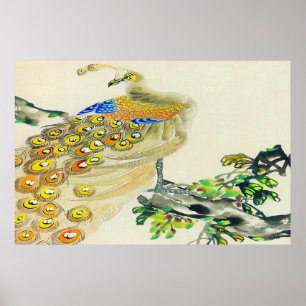 Affiches Poche à pied Peacock Dessin 1