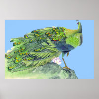 Poche à pied Peacock Dessin 2