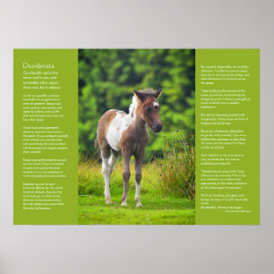 Affiches Poème Desiderata - Foie Dartmoor Pony