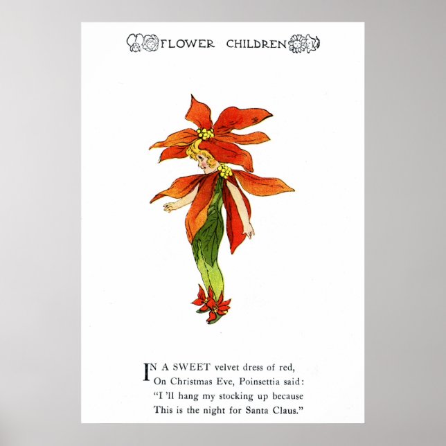 Affiches Poinsettia (Devant)
