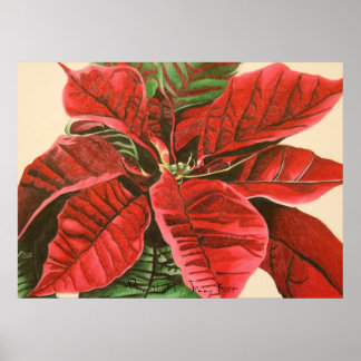Affiches "Poinsettia" par Jenny Koch