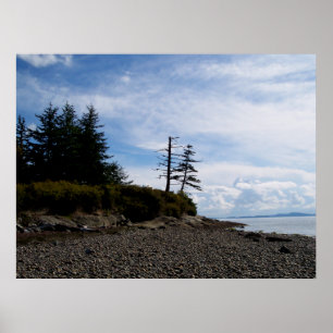 Affiches Point de deux arbres