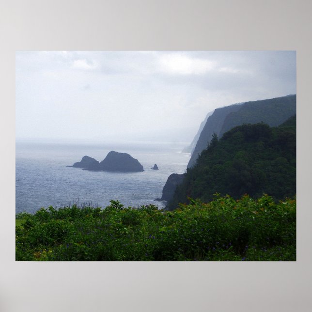 Affiches Point de vue de la vallée de Pololu, Hawaï, Impres (Devant)