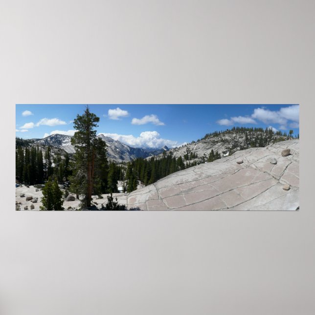 Affiches Point III d'Olmsted dans le parc national Yosemite (Devant)