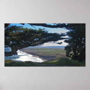 Affiches Point Reyes parmi des arbres