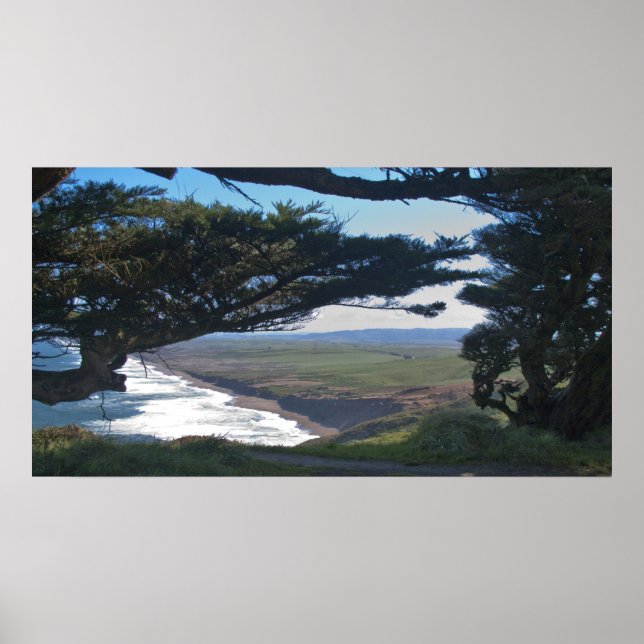 Affiches Point Reyes Parmi Les Arbres (Devant)