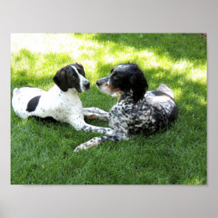 Affiches Pointer and Setter Love