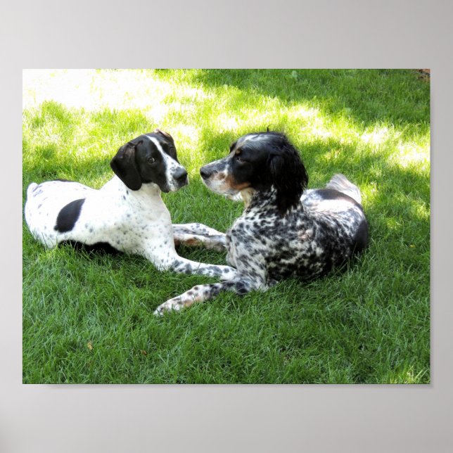 Affiches Pointer and Setter Love (Devant)
