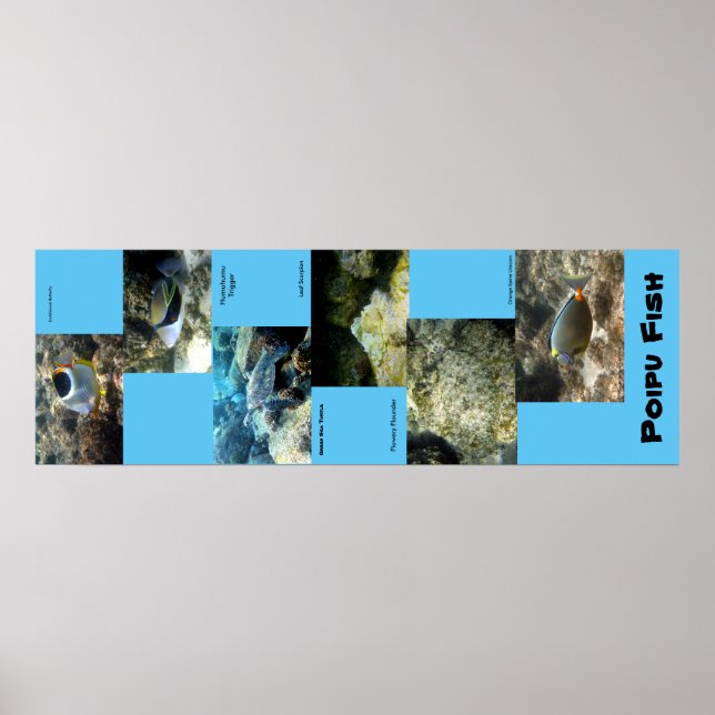 Affiches Poipu (Devant)