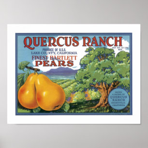 Affiches Poires bartlett de ranch de quercus
