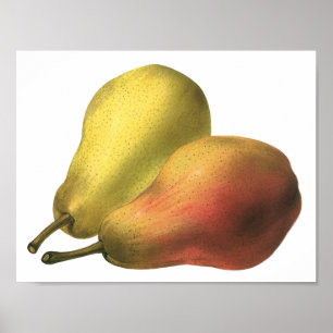 Affiches Poires Vintage, Aliments Biologiques, Fruits Mûrs