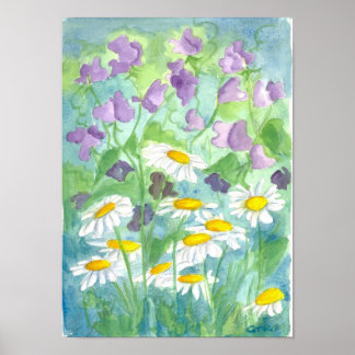 Affiches Pois doux à la lavande Shasta Daisy Aquarelle